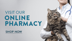 Visit Our Online Pharmacy - Shop Now