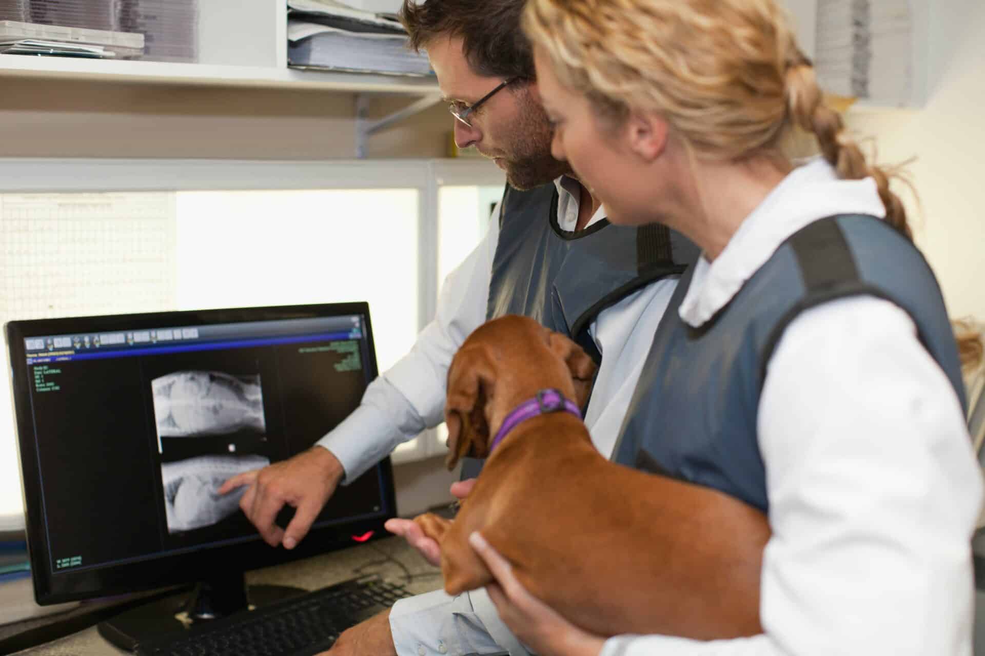 Digital Radiography (X-Rays)