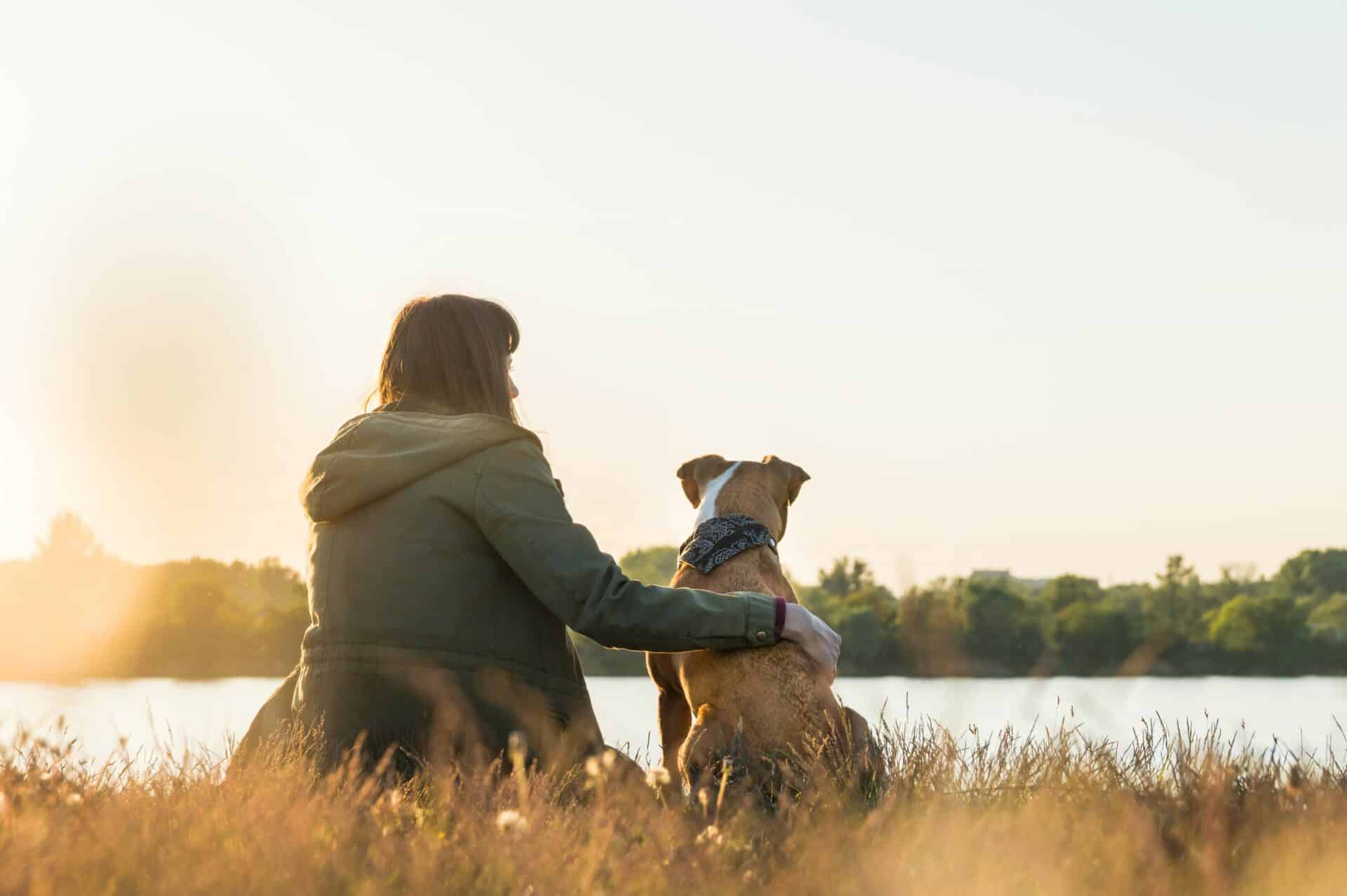 Ready to Keep That Tail Wagging?