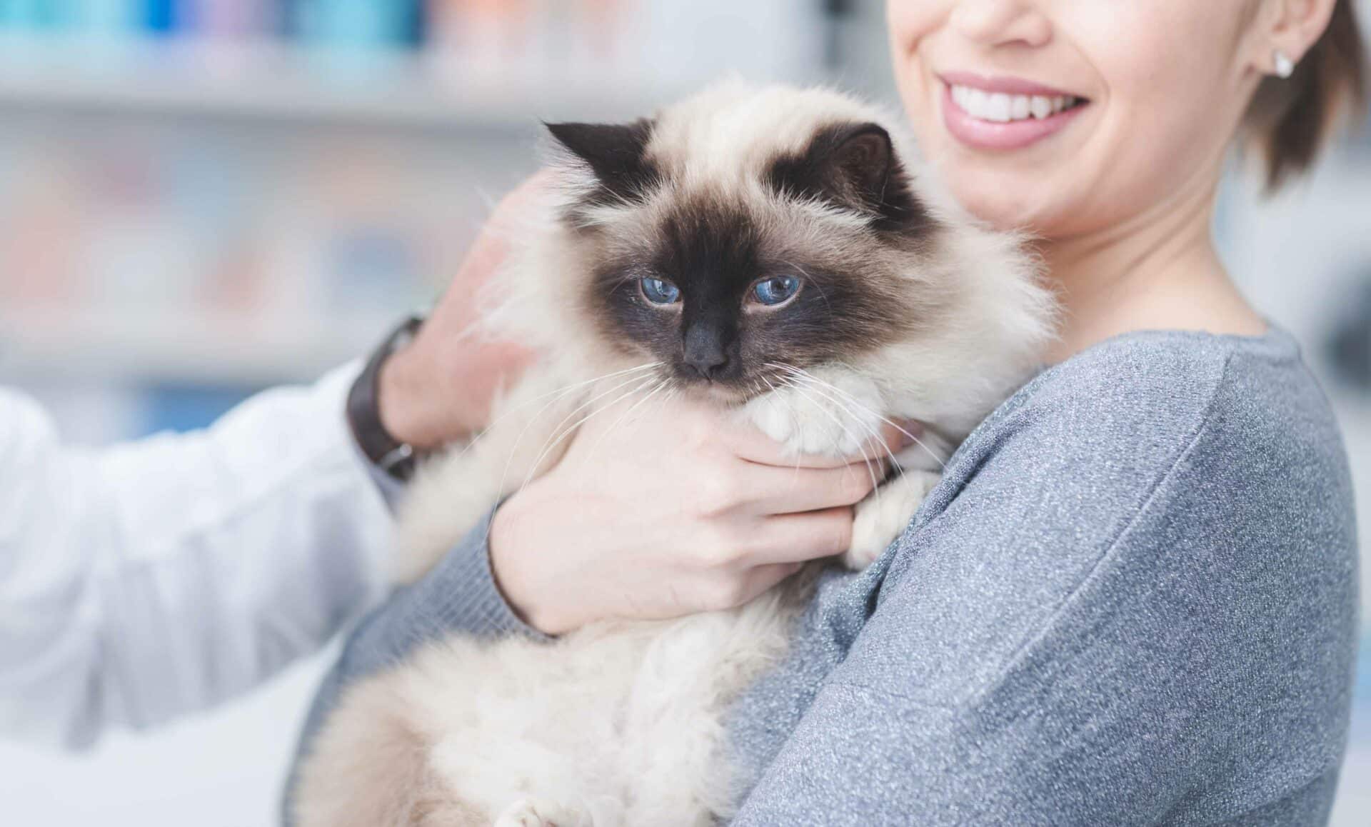Ready to Schedule Your Pet’s Wellness Visit?